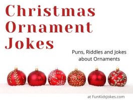 Christmas Ornament Jokes | Clean Christmas Ornament Jokes | Fun Kids Jokes