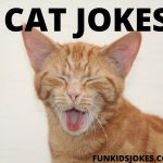 Funny Cat Jokes - Cat Humor