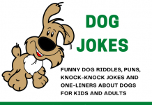 Dog Jokes for Kids
