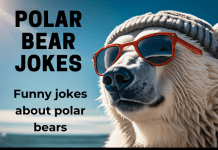 Polar Bear Jokes for Kids