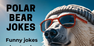 Polar Bear Jokes for Kids