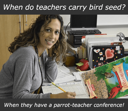 birdseed-teacher
