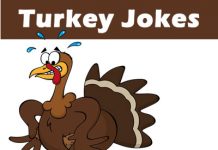 Turkey Jokes