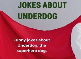 Jokes About Underdog