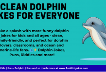 Dolphin Jokes Funny Dolphin Jokes