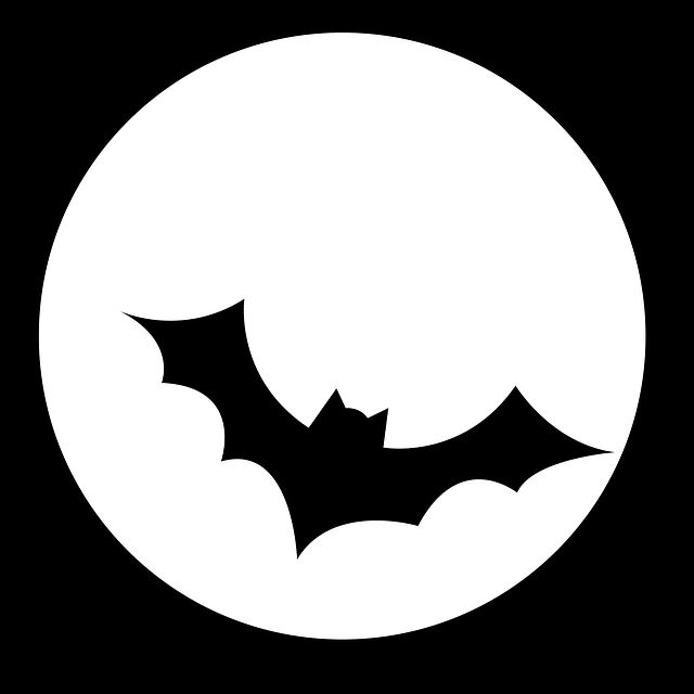 Bat Jokes for Kids