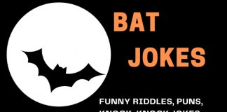 Bat Jokes