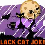 Black Cat Jokes