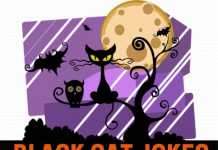 Black Cat Jokes
