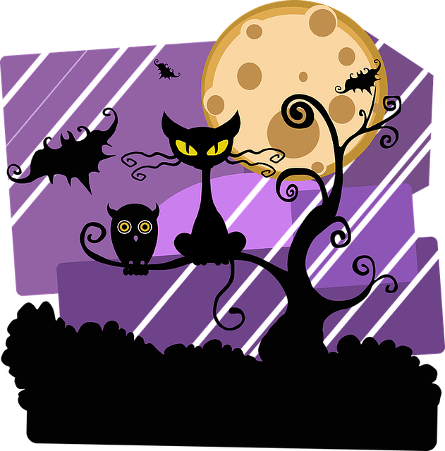 Black Cat Jokes for Kids on Halloween