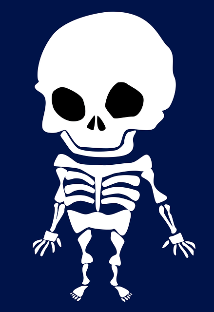 Skeleton Jokes - Great for Halloween