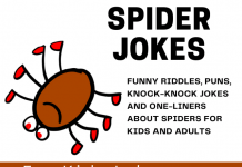 spider jokes for kids