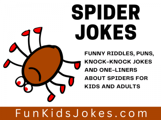 Spider Jokes - Clean Spider Jokes, Puns & Riddles for Kids & Adults