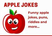 Funny Apple Jokes