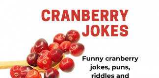 Funny Cranberry - Jokes, Puns and Riddles