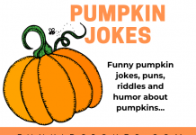 Funny Pumpkin - Jokes Puns, Riddles