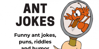 Funny Science Jokes - Kids Jokes - Fun Kids Jokes