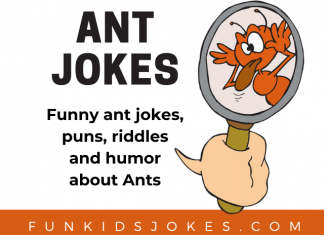 Ant Jokes for Kids