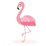 Funny Flamingo Jokes