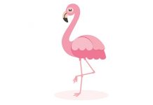 Funny Flamingo Jokes