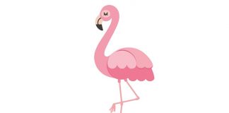 Funny Flamingo Jokes