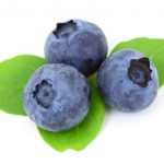 Blueberry Jokes - Jokes about Blueberries