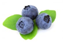 Blueberry Jokes - Jokes about Blueberries