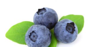 Blueberry Jokes - Jokes about Blueberries