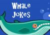 Funny Whale Jokes for Kids