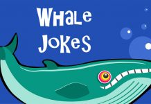 Funny Whale Jokes for Kids