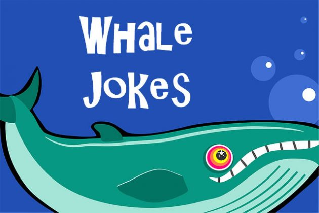 Whale Jokes - Fun Kids Jokes