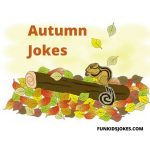 Autumn Jokes and Riddles