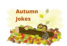 Autumn Jokes and Riddles