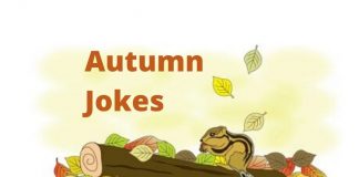 Autumn Jokes and Riddles