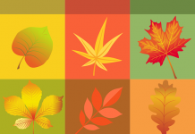 Leaf Jokes for Kids - Jokes about Leaves