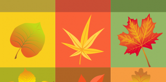 Leaf Jokes for Kids - Jokes about Leaves