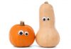 Gourd Jokes - Funny Autumn Jokes
