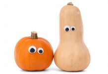 Gourd Jokes - Funny Autumn Jokes