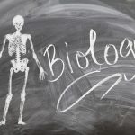 Biology Jokes for Teachers, Kids and Biologists