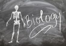 Biology Jokes for Teachers, Kids and Biologists