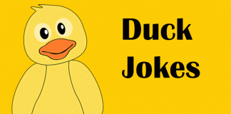 Funny Duck Jokes - Kids Duck Jokes