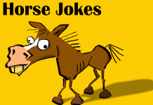 Horse Jokes - Funny Horse Jokes for Kids