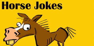 Horse Jokes - Funny Horse Jokes for Kids