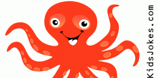 Octopus Jokes - Funny Octopus Jokes