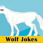 Wolf Jokes for Kids
