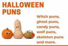 Halloween Puns - Clean Halloween Puns