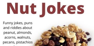 Nut Jokes, Puns and Riddles
