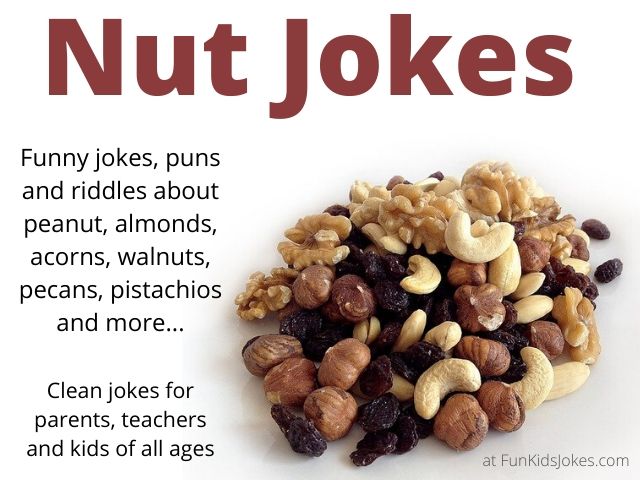 Nut jokes, puns, riddles, one-liners and knock-knock jokes about nuts. 