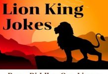 Lion King Jokes