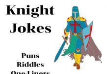 Knight Jokes, Puns, Riddles